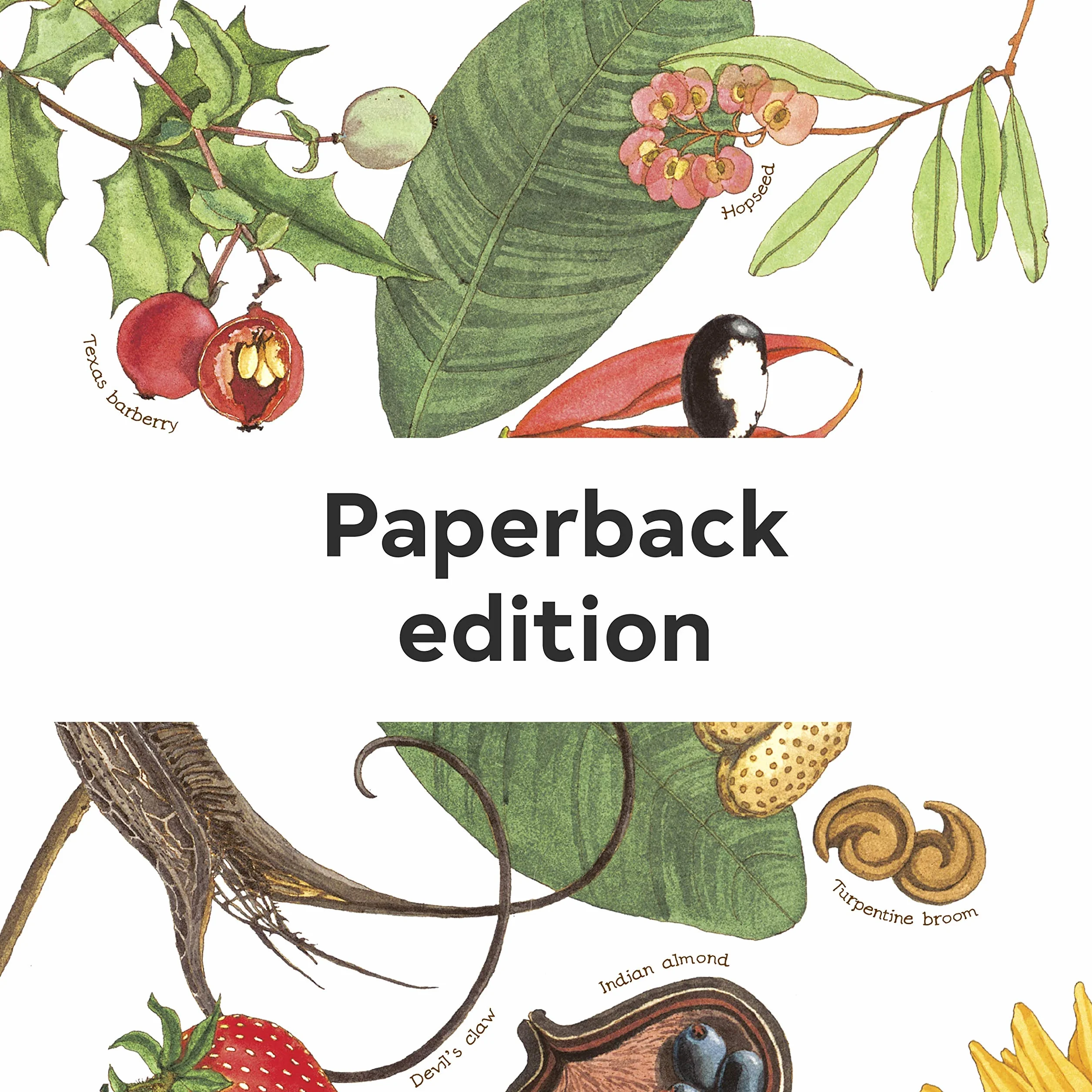 A Seed Is Sleepy: (Nature Books for Kids, Environmental Science for Kids) (Sylvia Long)