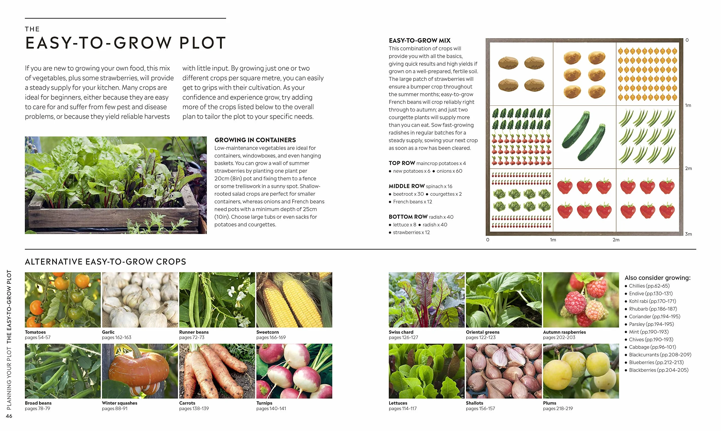 RHS Step-by-Step Veg Patch: A Foolproof Guide to Every Stage of Growing Fruit and Veg