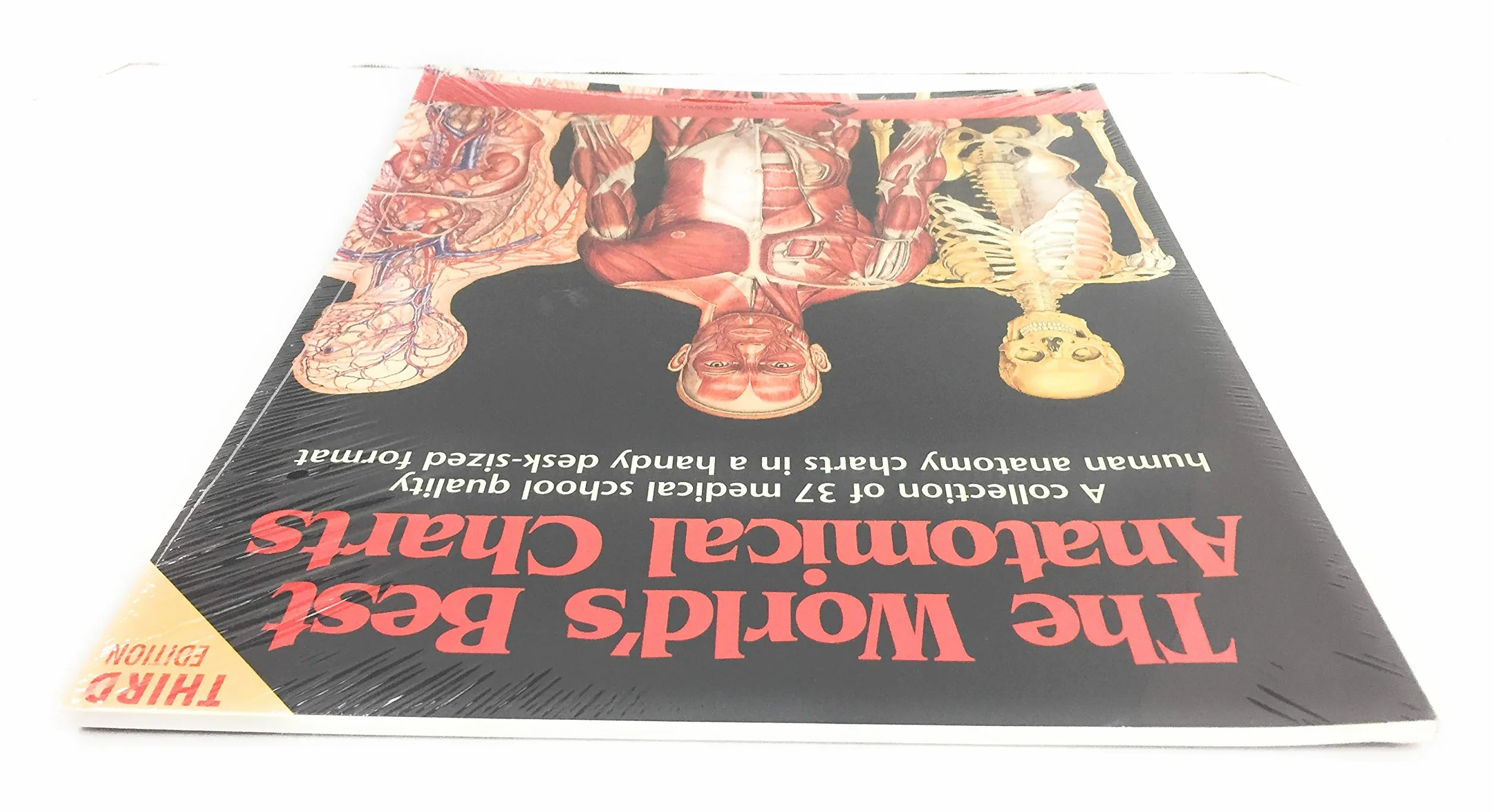 The World's Best Anatomical Charts