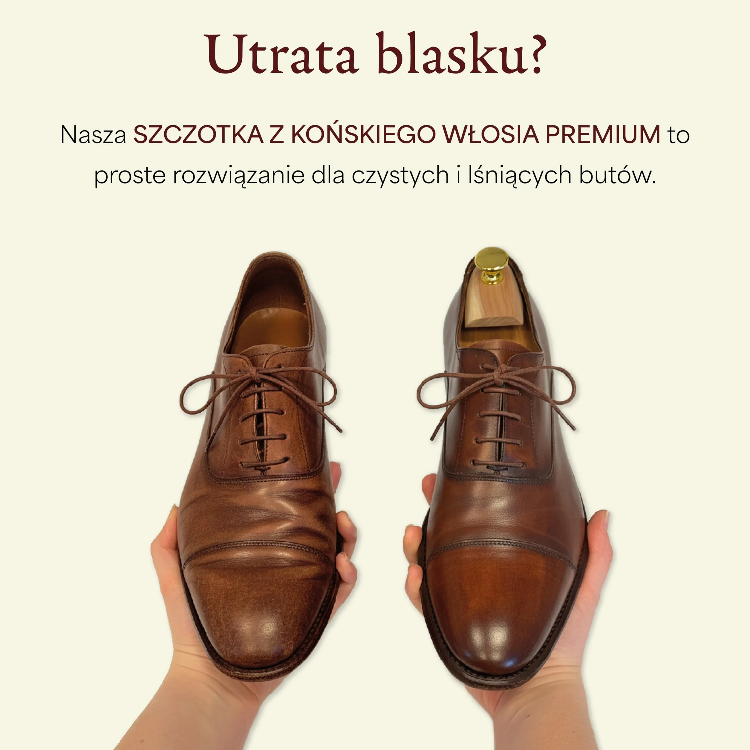 Langer & Messmer szczotka do butów z delikatnego włosia końskiego do efektywnego polerowania butów – szczotka polerska do profesjonalnej pielęgnacji obuwia – pojedyncza jasna