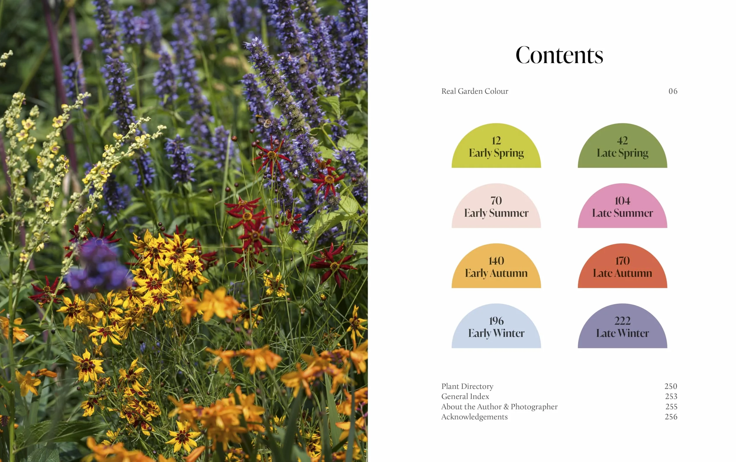 A Year of Colour: How to create a bold and bright garden