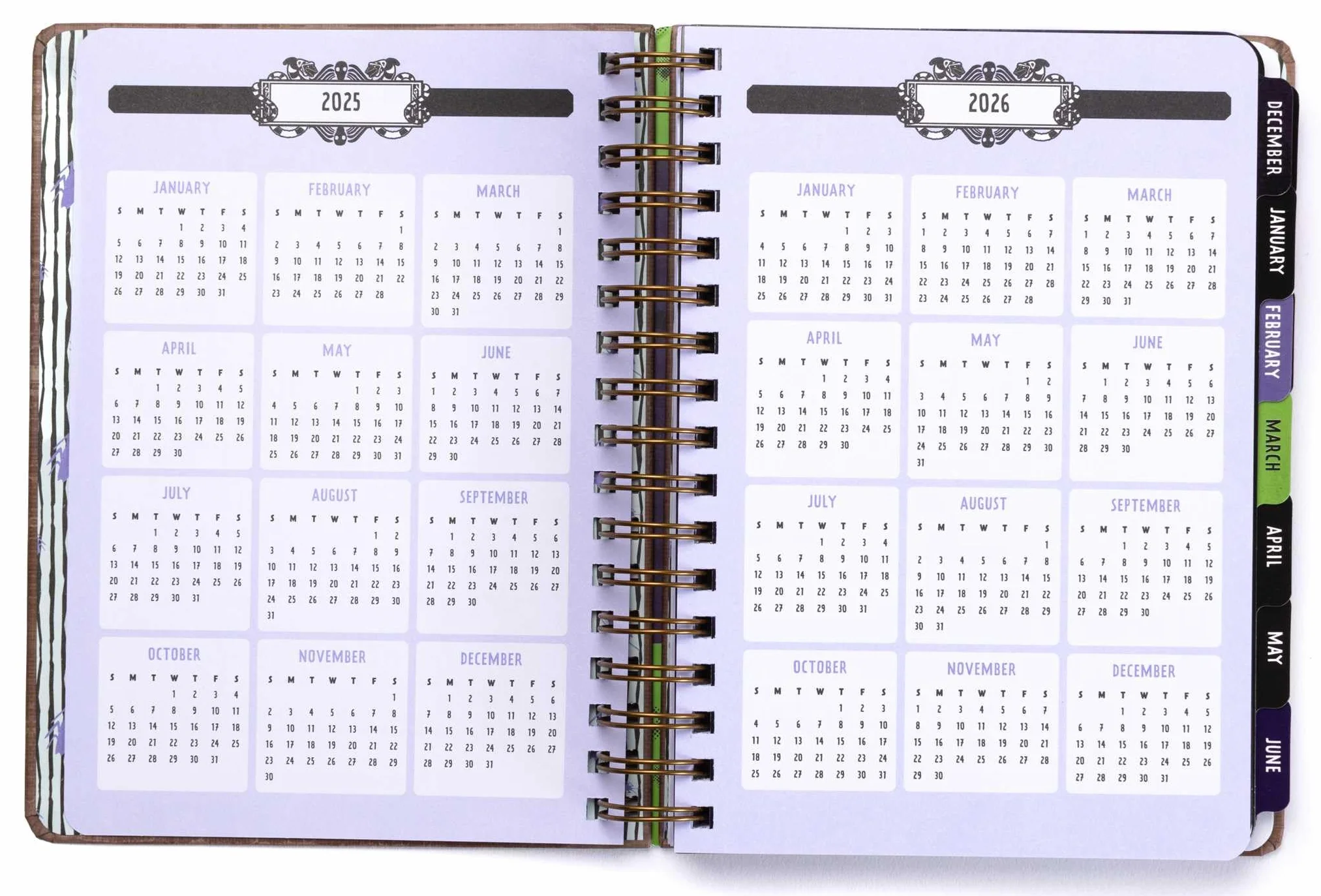 2025 Beetlejuice 13-Month Weekly Planner
