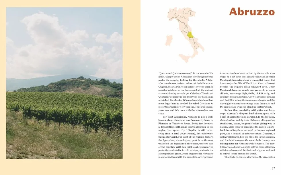 Italian Wine: The History, Regions, and Grapes of an Iconic Wine Country