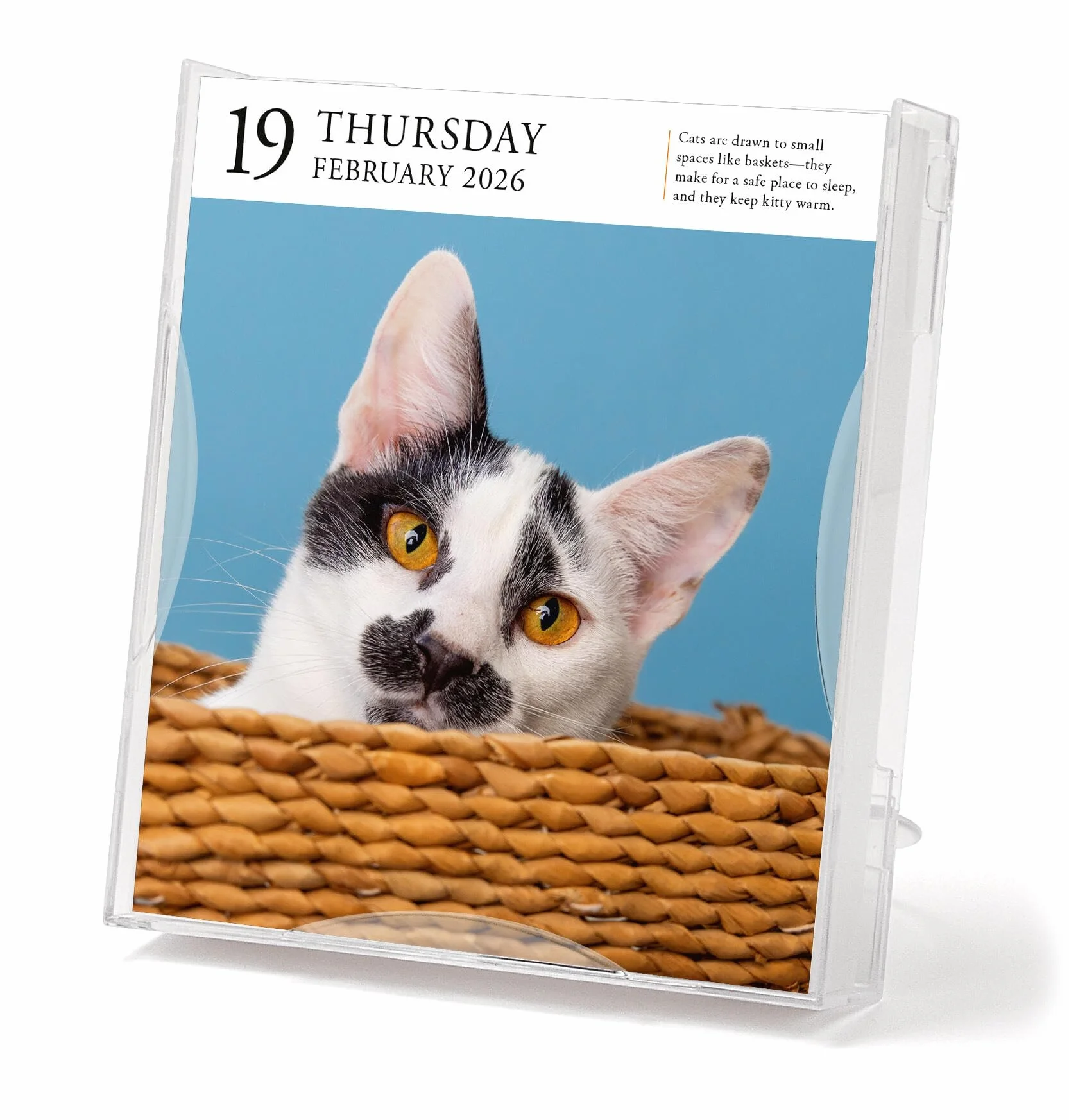 Cat Page-A-Day® Gallery Calendar 2026: A Delightful Gallery of Cats for Your Desktop