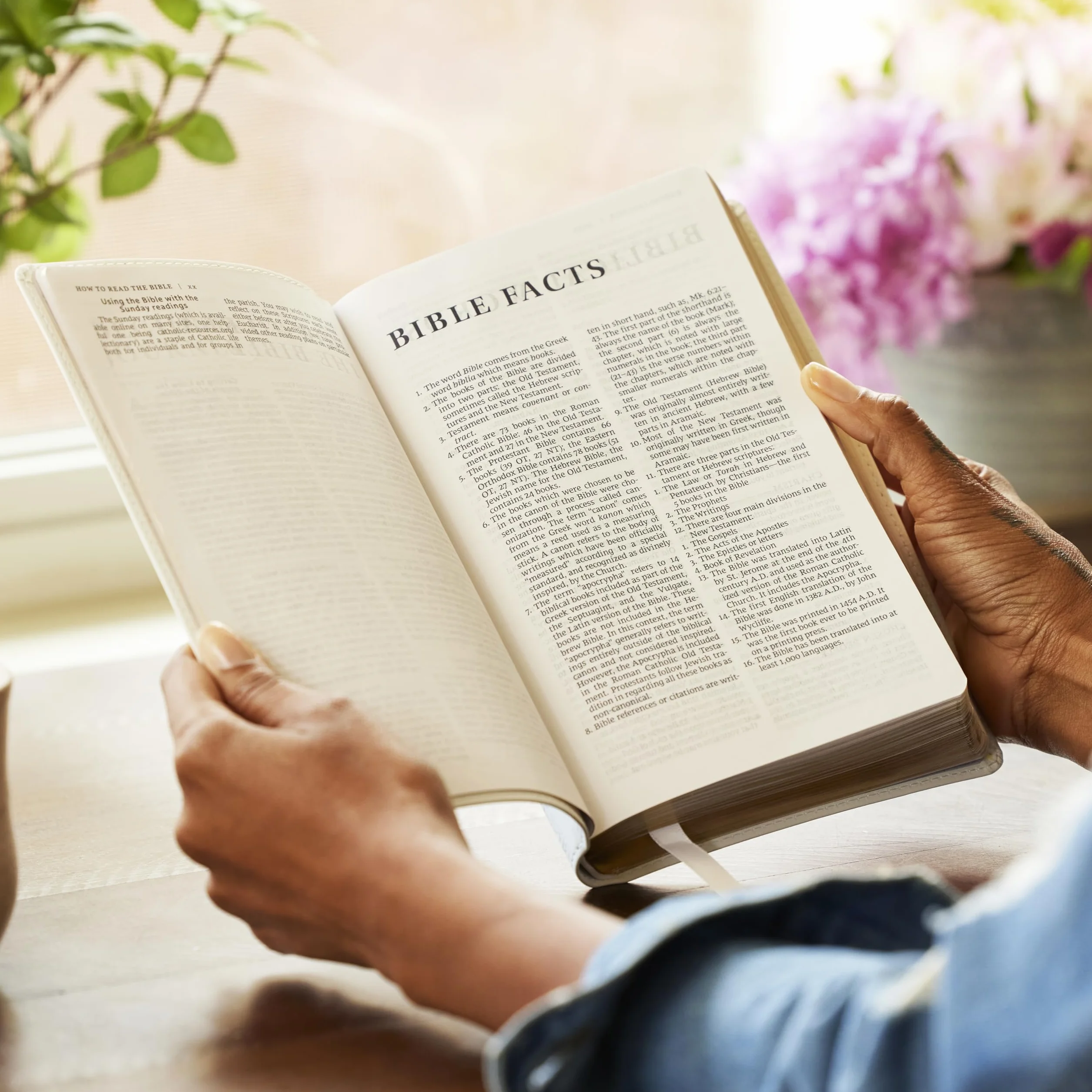 Nrsv, Catholic Bible, Gift Edition, Leathersoft, White, Comfort Print: Holy Bible