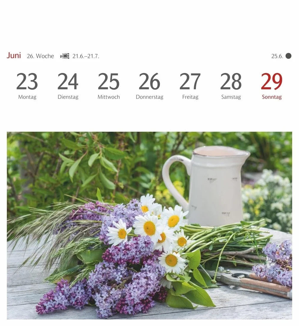 Blumenpracht Postkartenkalender 2025 - Wochenkalender mit 53 Postkarten: Kalender mit 53 traumhaften Fotos von Blumensträußen und Blüten. Blumen-Kalender 2025 mit Postkarten