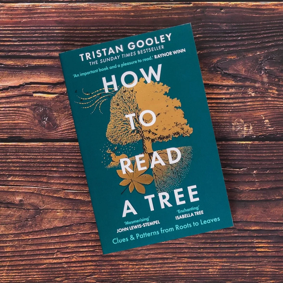 How to Read a Tree: A must-have for all nature lovers - perfect reading for your springtime adventures