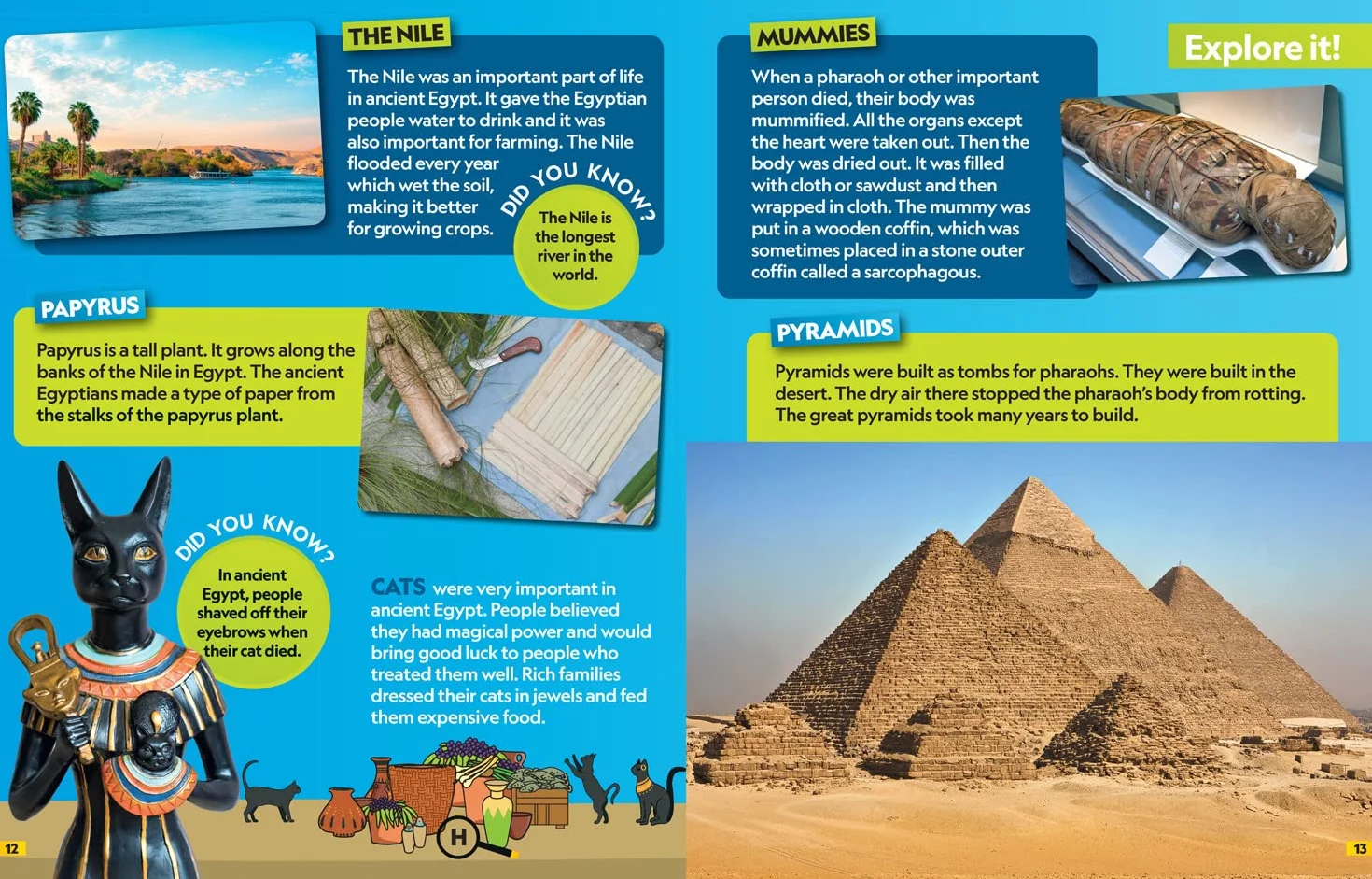 History Find it! Explore it!: More than 250 things to find, facts and photos!