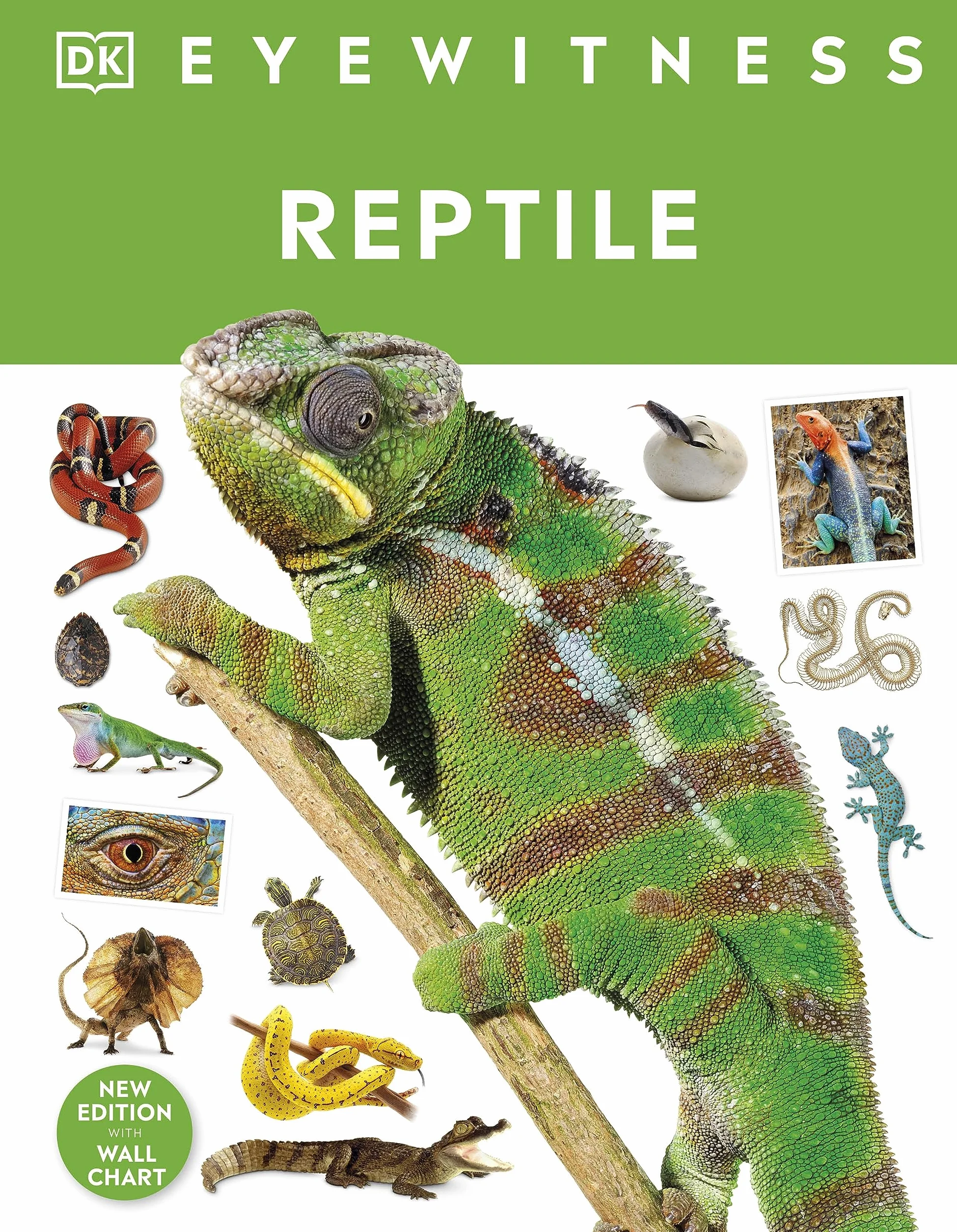 Reptile: DK Eyewitness