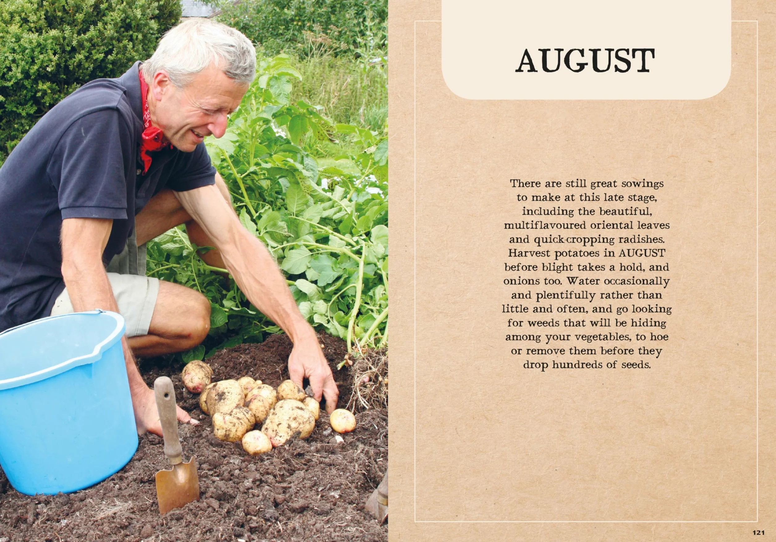 Charles Dowding's Veg Journal: Expert No-Dig Advice, Month by Month