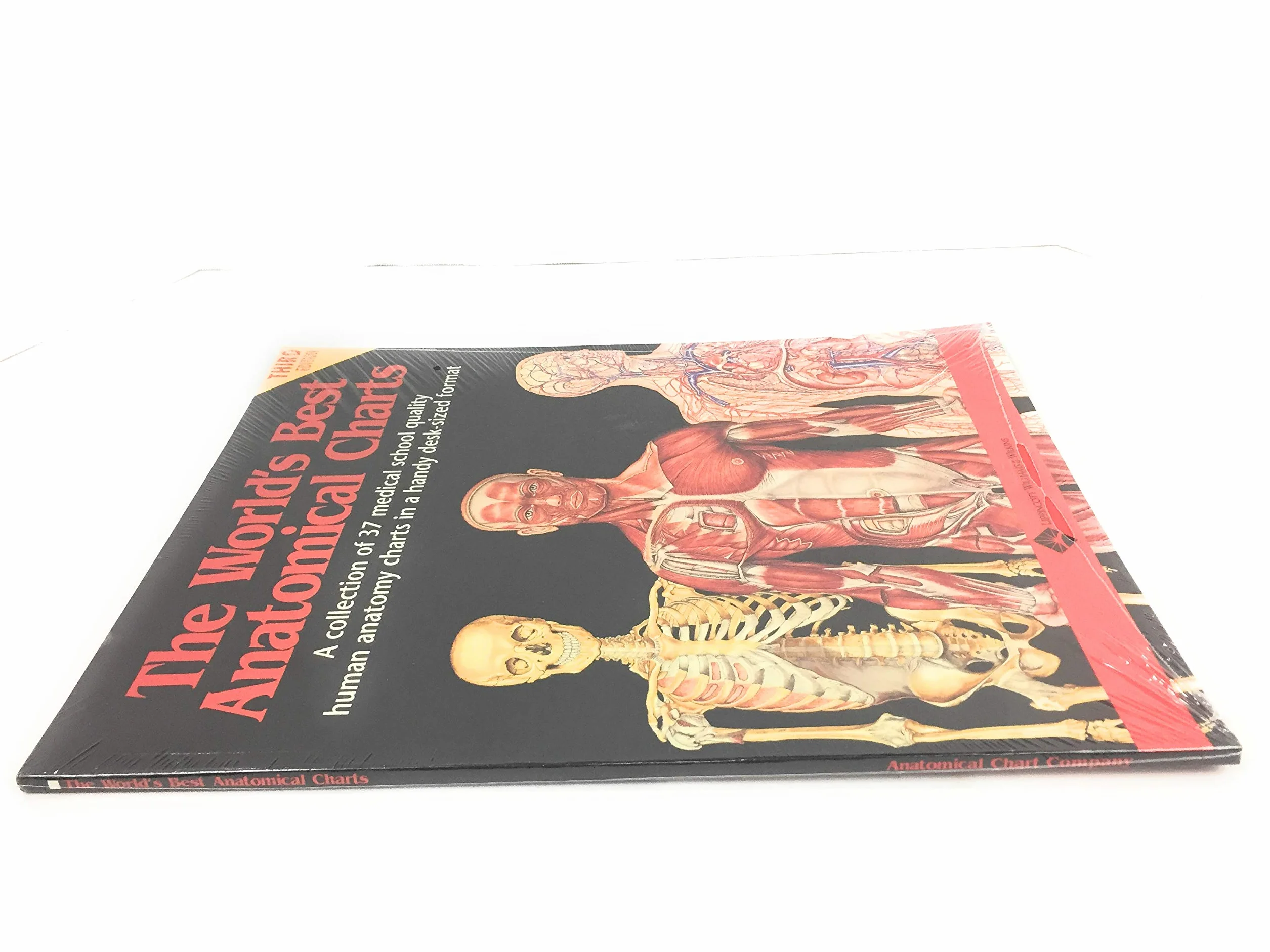 The World's Best Anatomical Charts