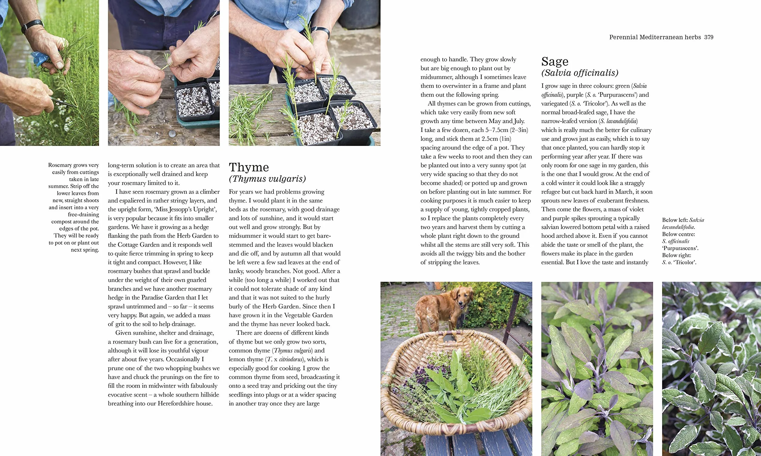The Complete Gardener: A Practical, Imaginative Guide to Every Aspect of Gardening