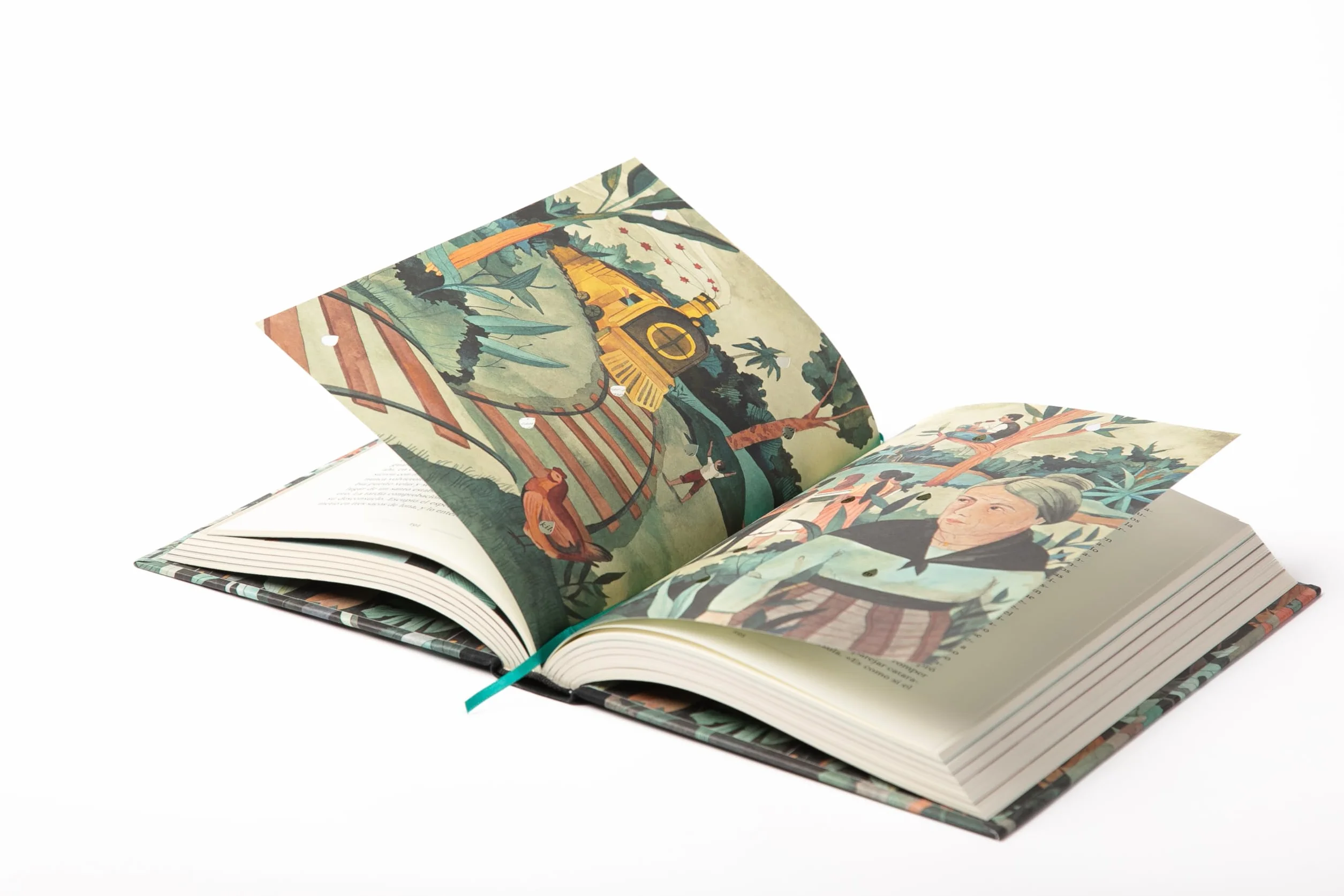 Cien años de soledad (edición ilustrada): Ed. Conmemorativa Ilustrada 50 Aniversario