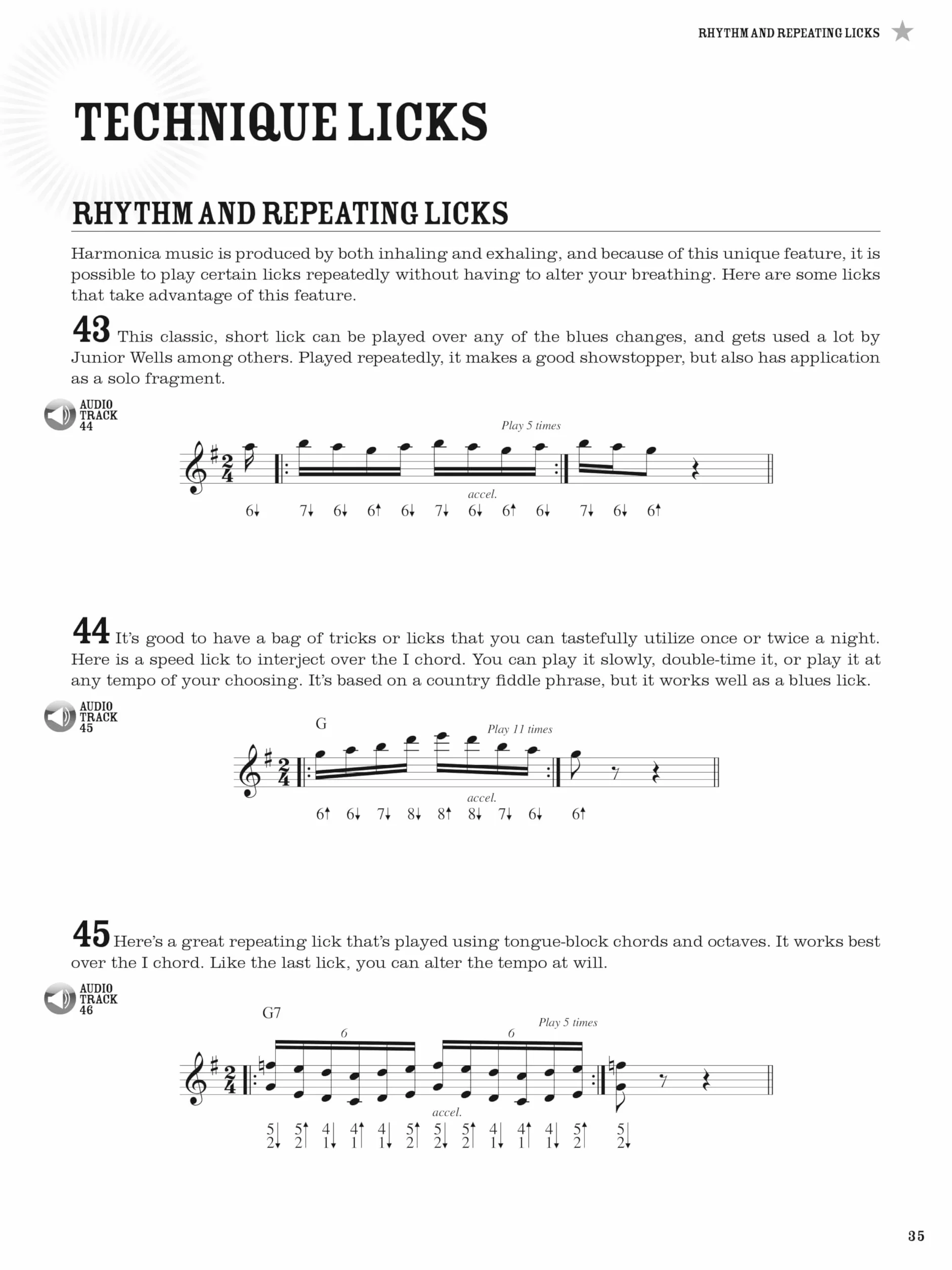 100 Authentic Blues Harmonica Licks