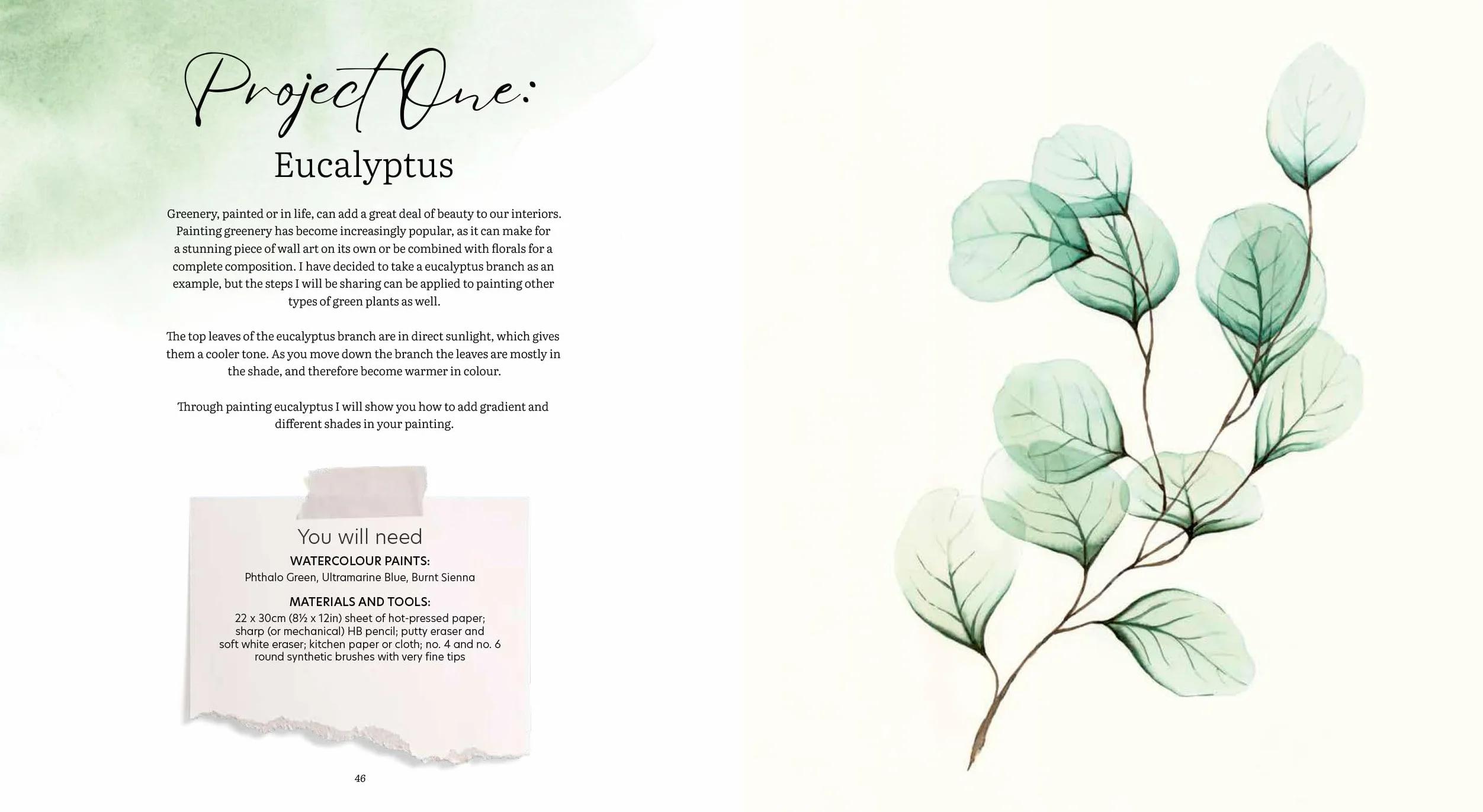 How to Paint Transparent Watercolour Flowers