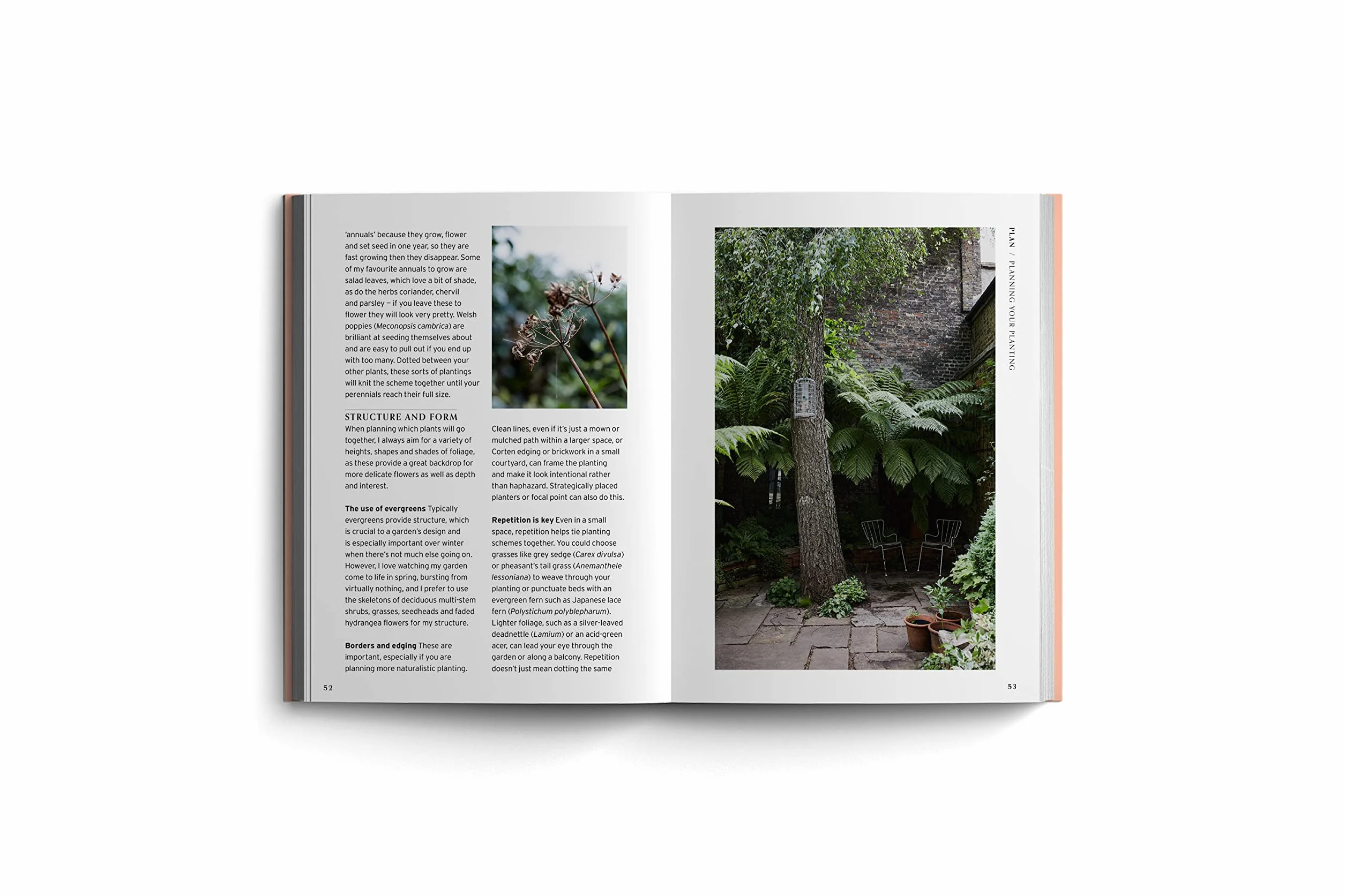 Shade (Bloom's Gardener Guide) /anglais: Bloom Gardener's Guide: Work with the Light, Grow the Right Plants, Bring Dark Corners to Life: 2
