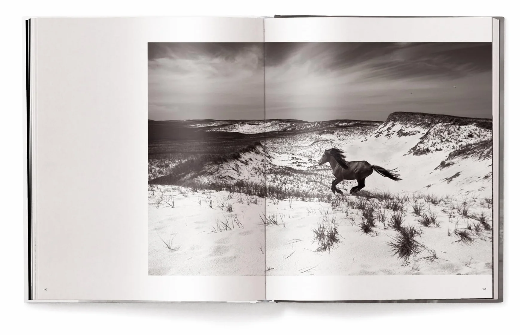 Untamed Spirits: Horses from Around the World /anglais/allemand