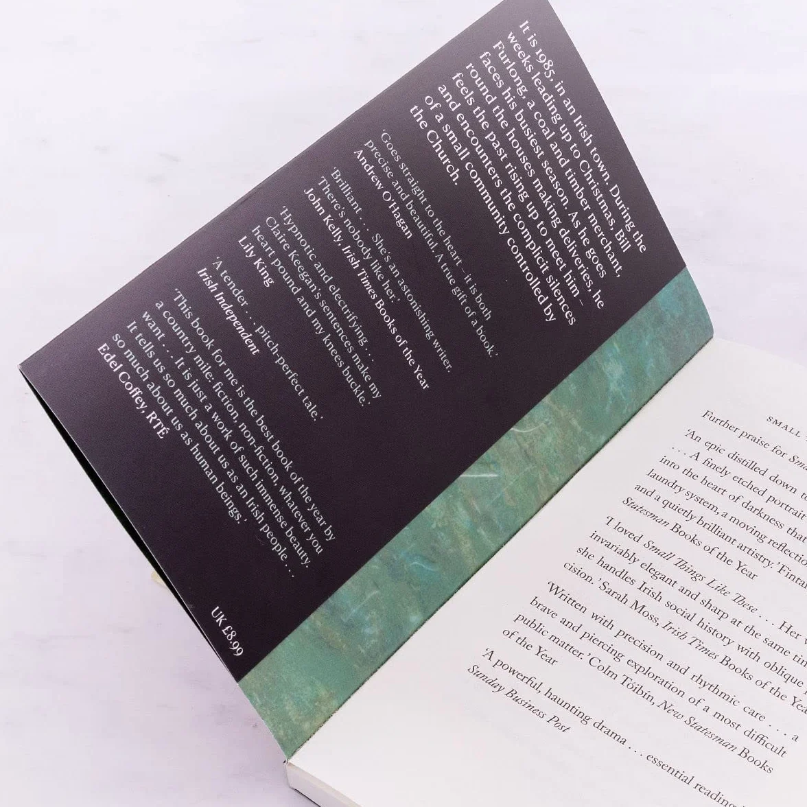 Small Things Like These: The Irish Times readers' choice for best Irish book of the century