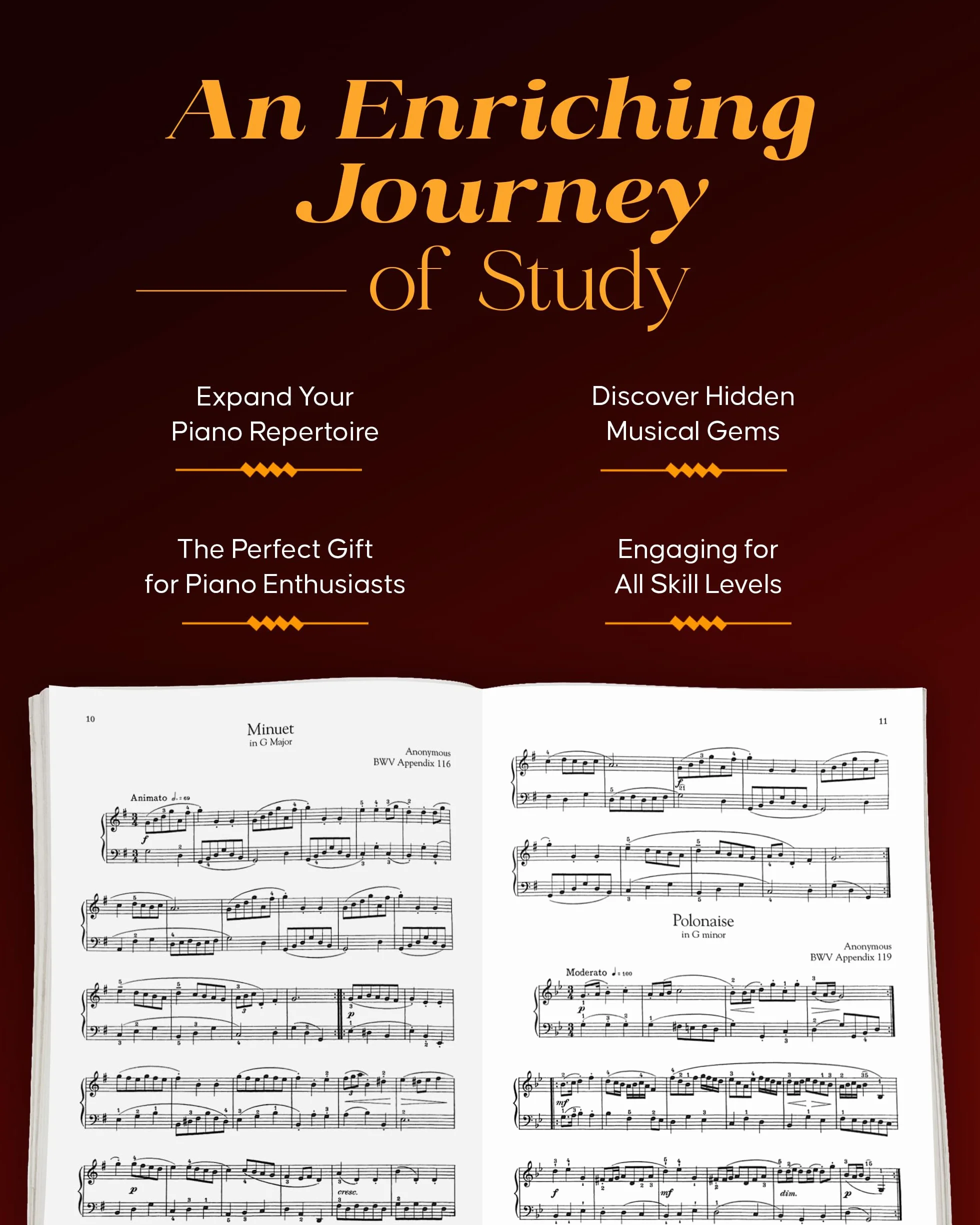The Giant Book of Intermediate Classical Piano Music: Schirmer's Library of Musical Classics, Vol. 2139