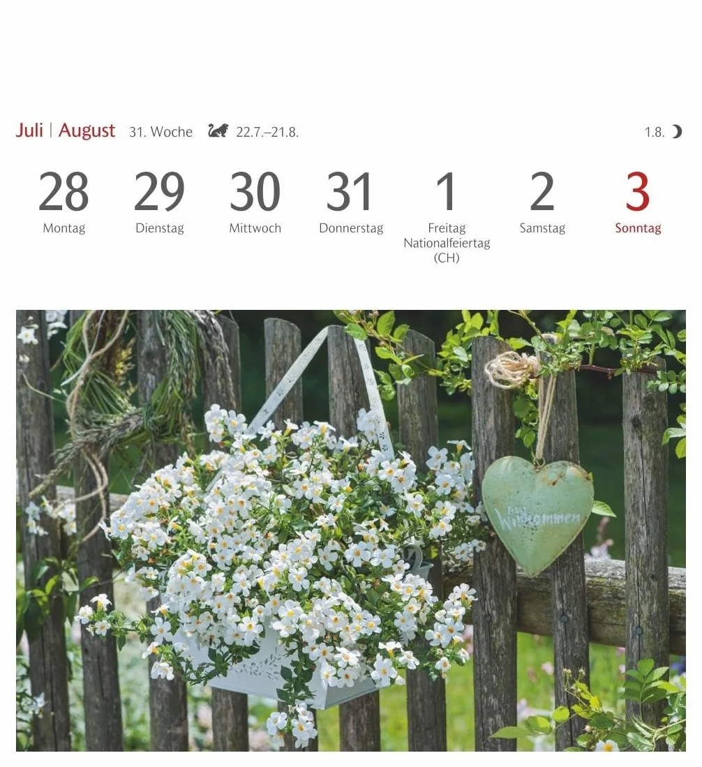 Blumenpracht Postkartenkalender 2025 - Wochenkalender mit 53 Postkarten: Kalender mit 53 traumhaften Fotos von Blumensträußen und Blüten. Blumen-Kalender 2025 mit Postkarten