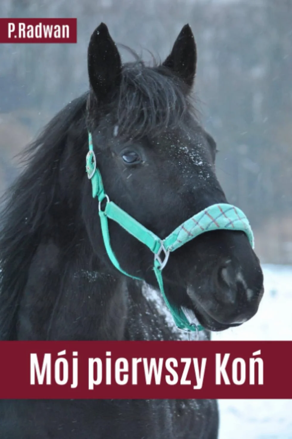 Mój Pierwszy Koń: Poradnik dla osób kupujących swojego pierwszego wierzchowca