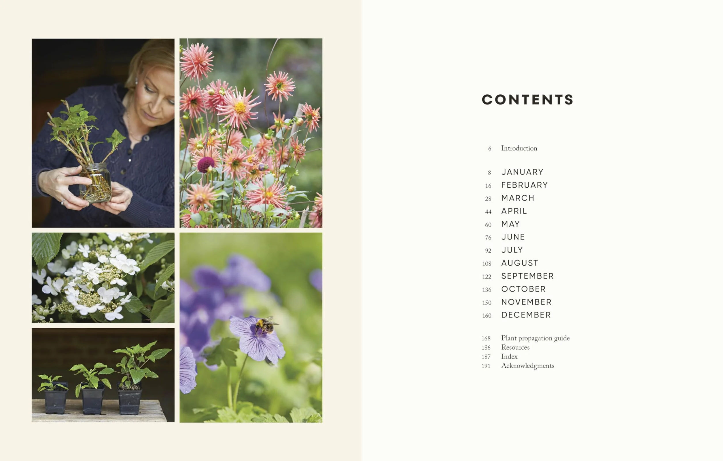 The Money-Saving Garden Year: A Month-by-month Guide to a Great Garden that Costs Less