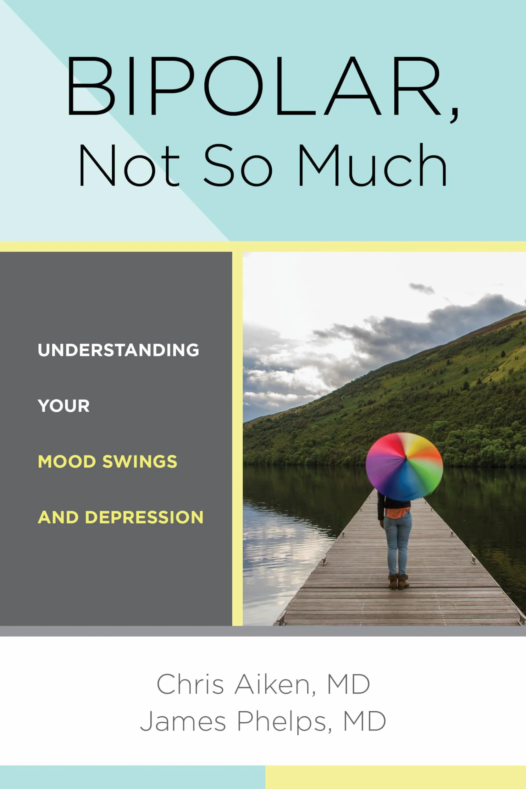 Bipolar, Not So Much: Understanding Your Mood Swings and Depression