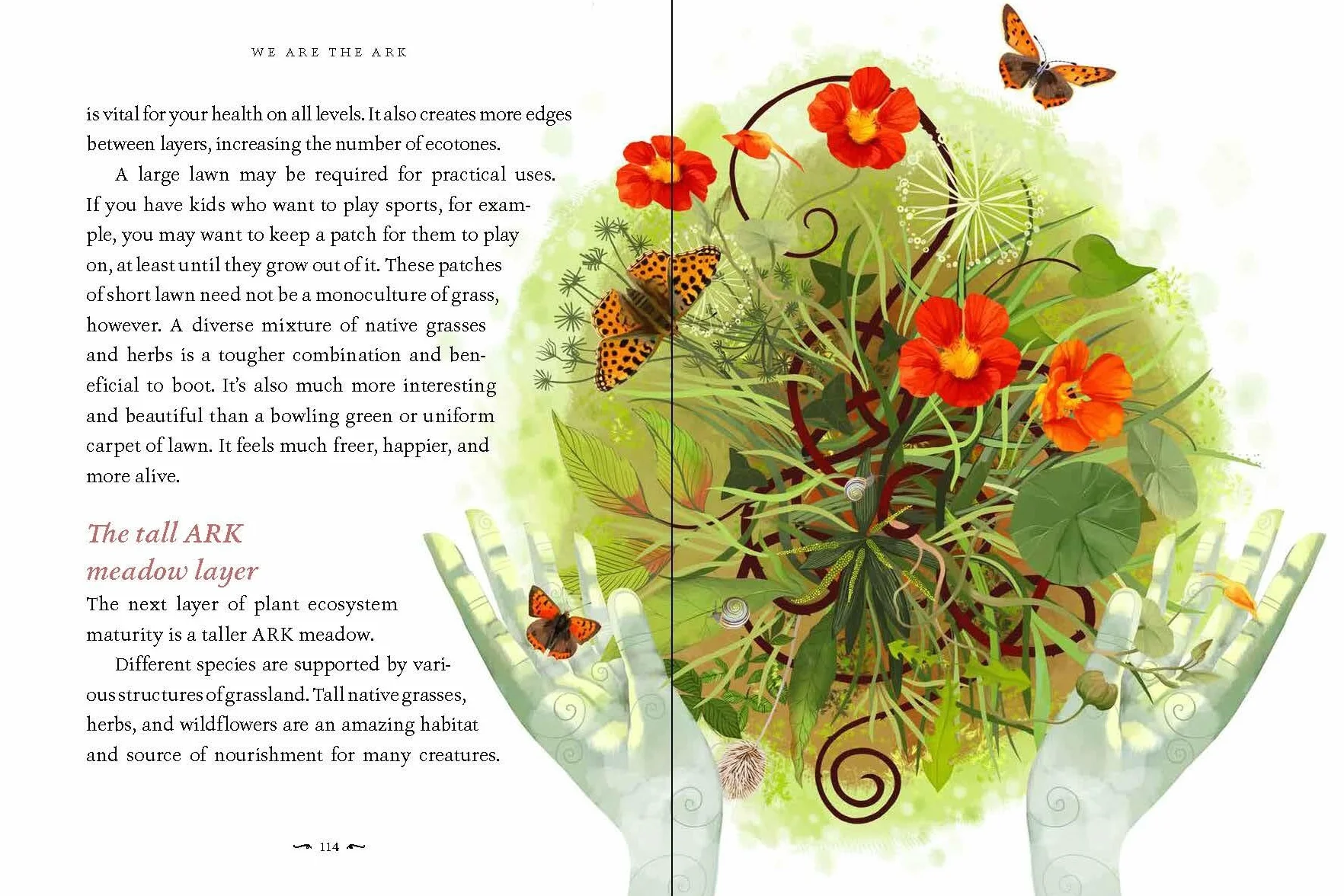 We Are the Ark: Returning Our Gardens to Their True Nature Through Acts of Restorative Kindness