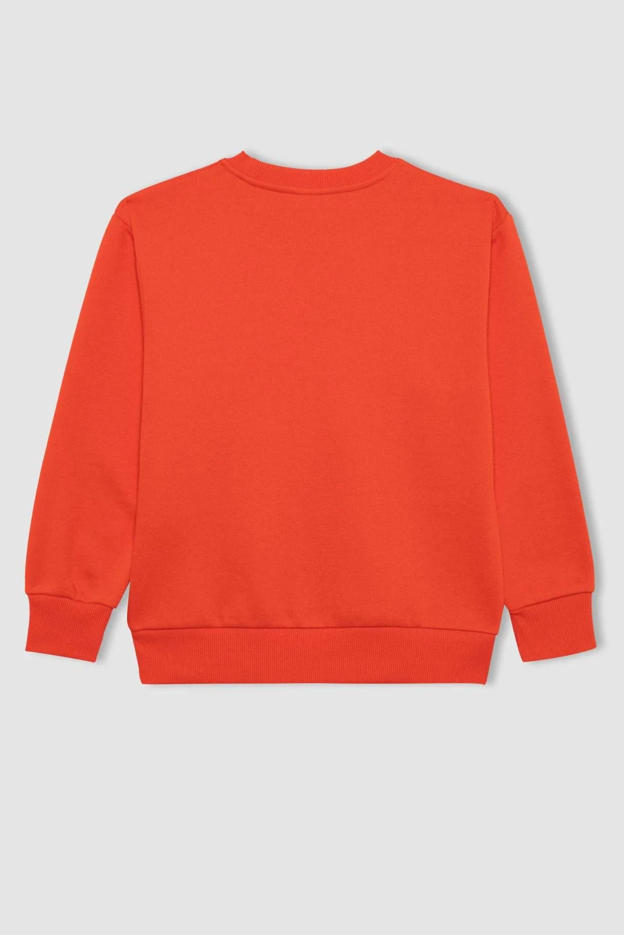 DeFacto Bluza sportowa Chłopcy B7772a8
