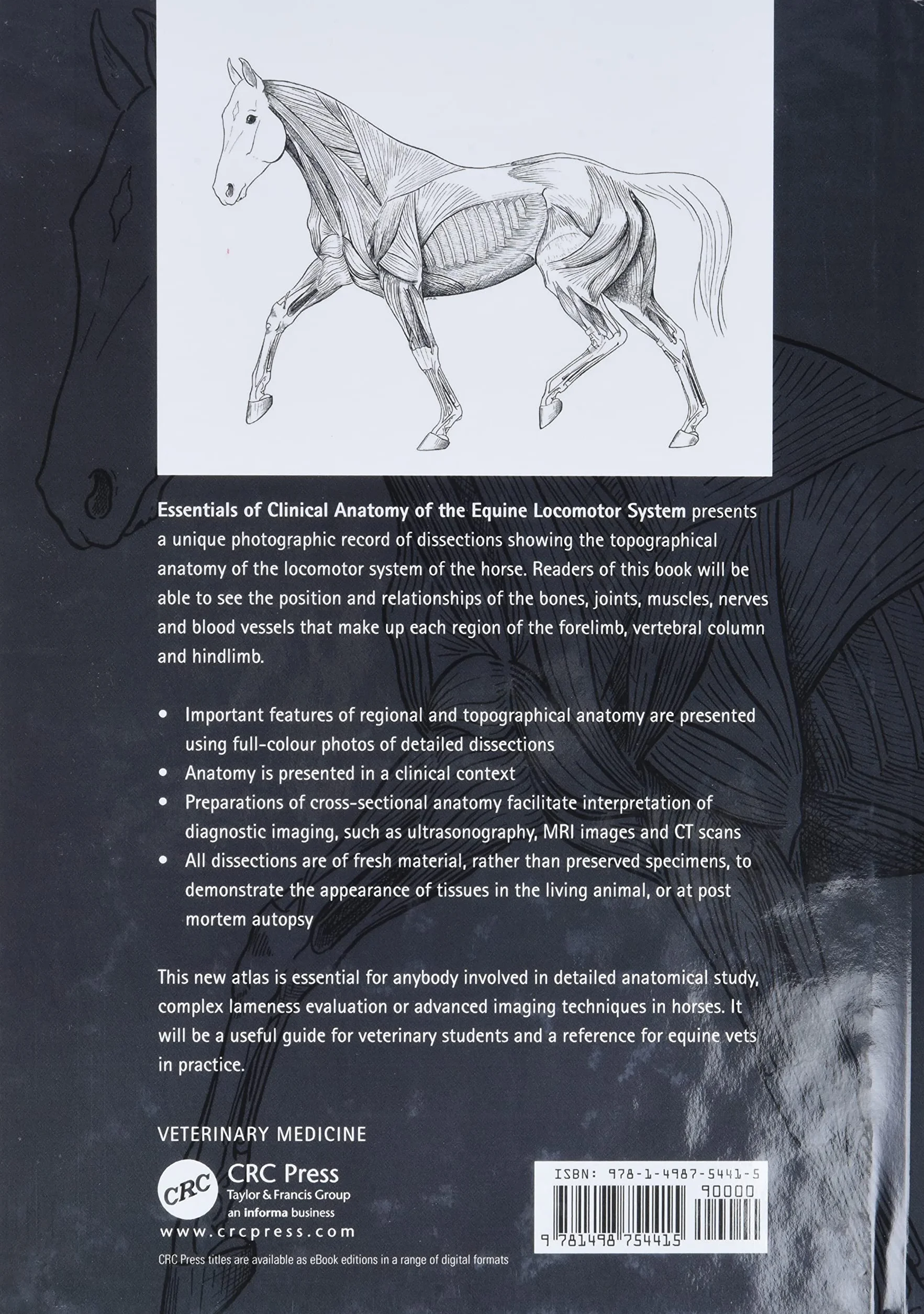 Essentials of Clinical Anatomy of the Equine Locomotor System