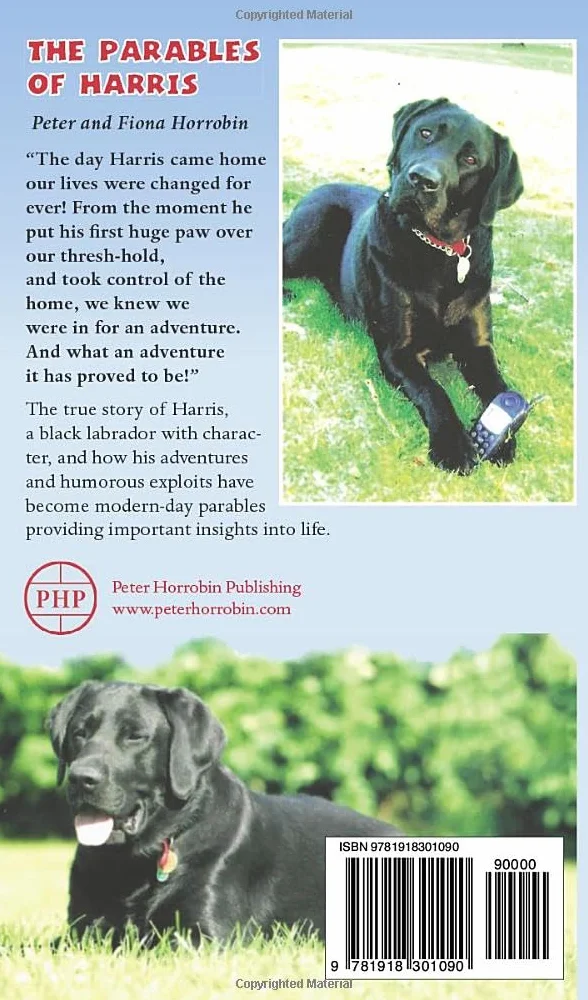 The Parables of Harris: How a mischievous black Labrador taught us lessons of life!