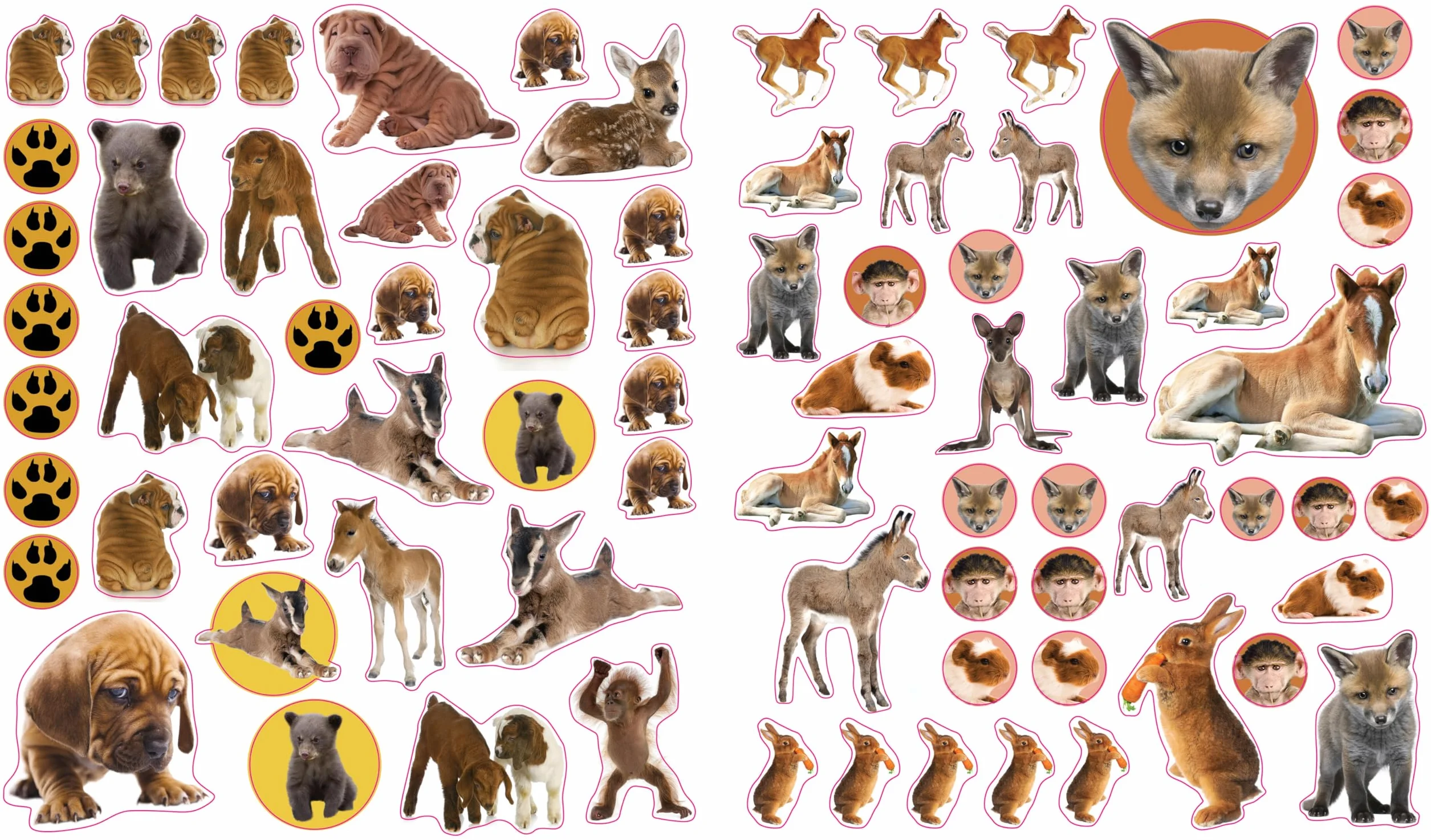 Eyelike Stickers: Baby Animals