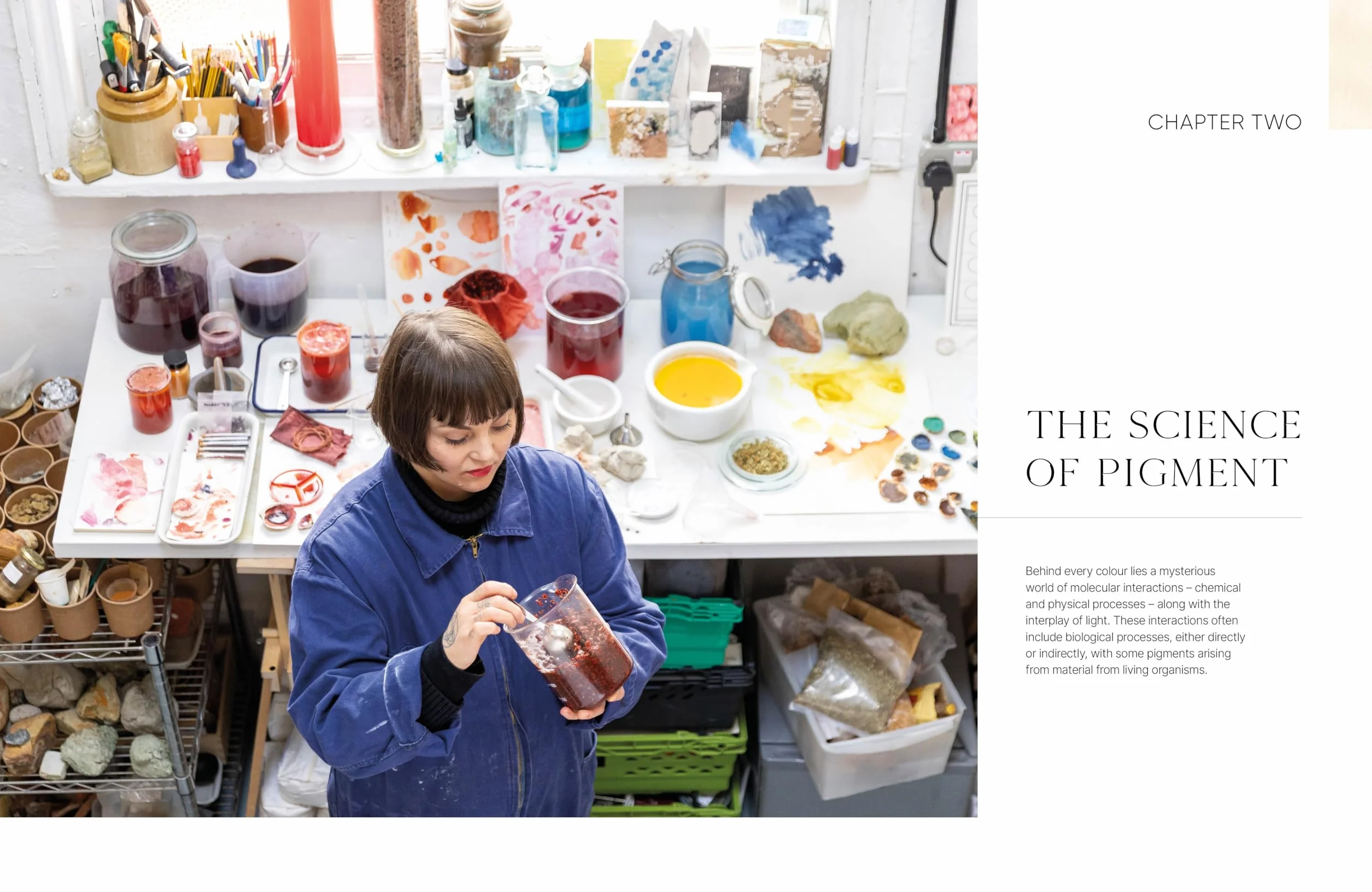 The Natural Pigment Handbook: A Maker's Guide to the Art, Stories and Recipes for Creating Paint
