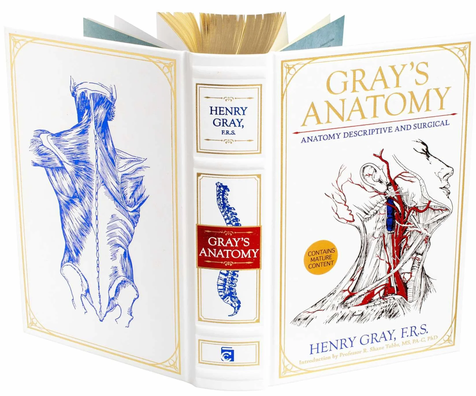 Gray's Anatomy: Anatomy Descriptive and Surgical