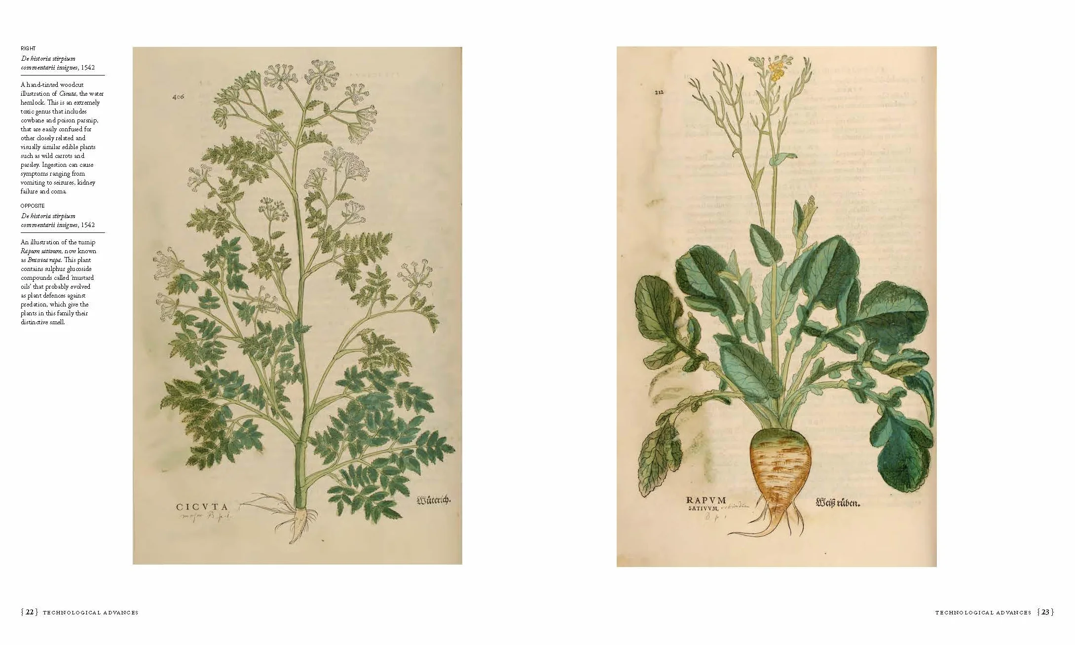 The Botanists' Library: The Most Important Botanical Books in History