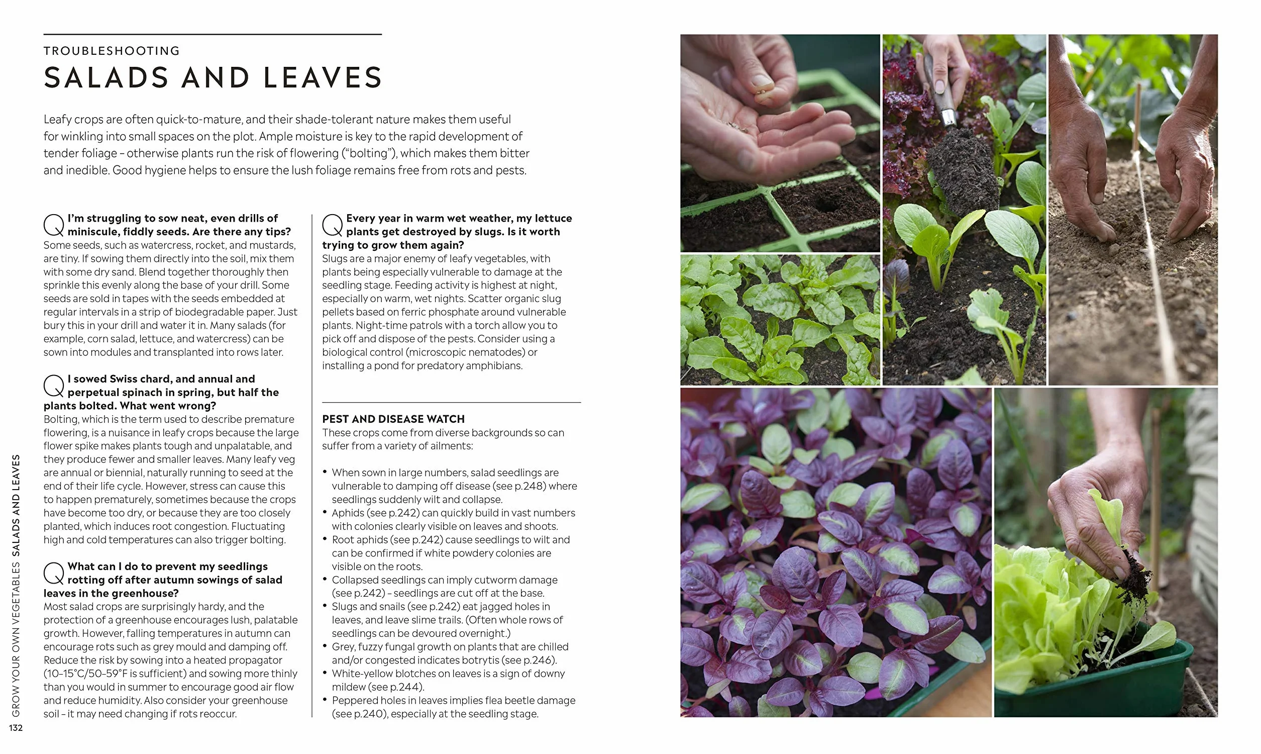RHS Step-by-Step Veg Patch: A Foolproof Guide to Every Stage of Growing Fruit and Veg