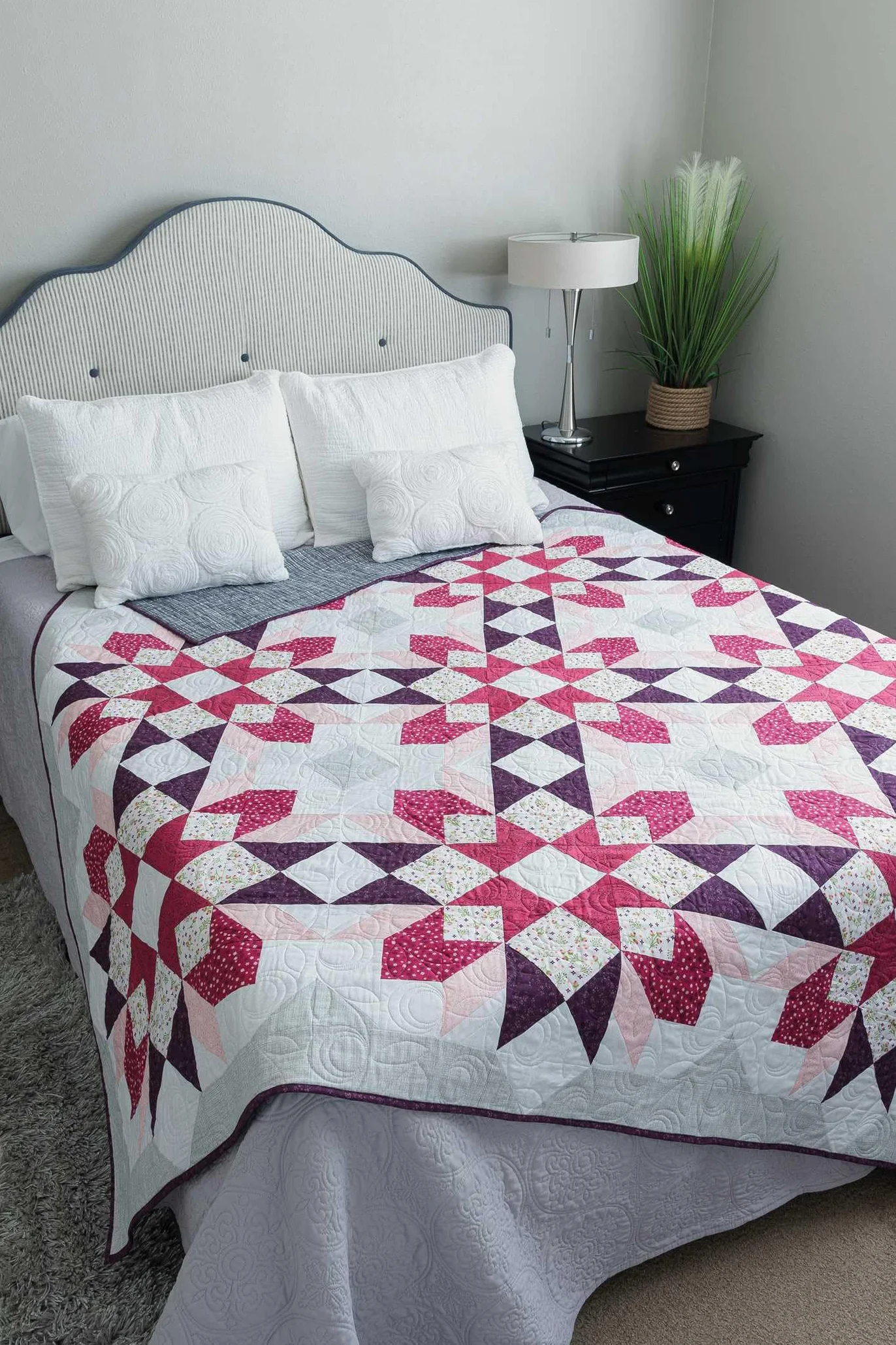 Barn Star Sampler: 20 Starry Blocks and 7 Spectacular Quilts