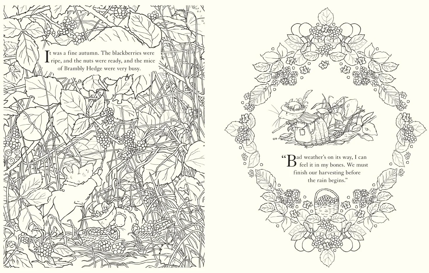 Brambly Hedge: Festive Colouring Book: A magically festive colouring book for children and adults alike packed with classic illustrations for all