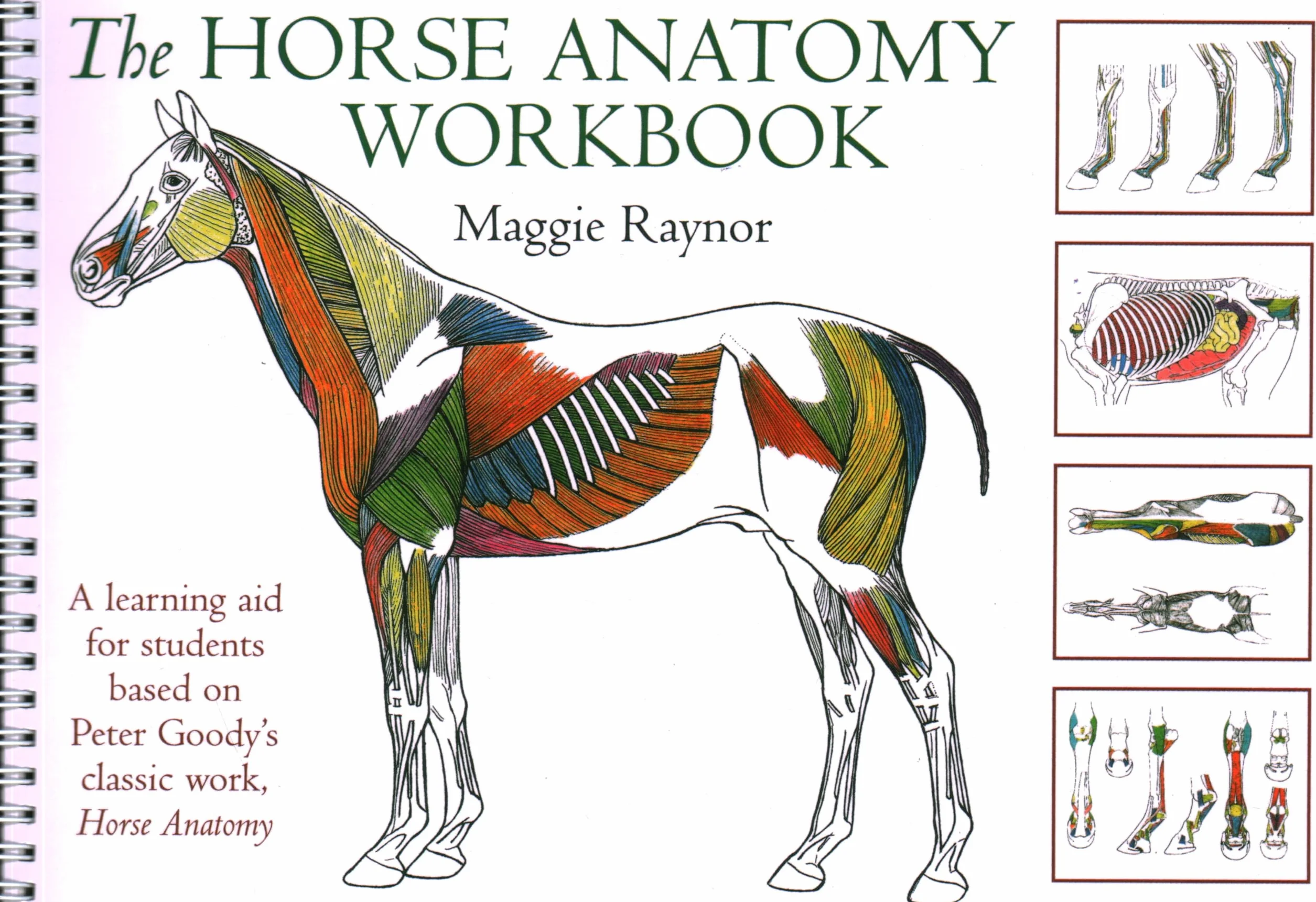 Horse Anatomy Workbook: A Learning Aid for Students Based on Peter Goody's Classic Work, Horse Anatomy