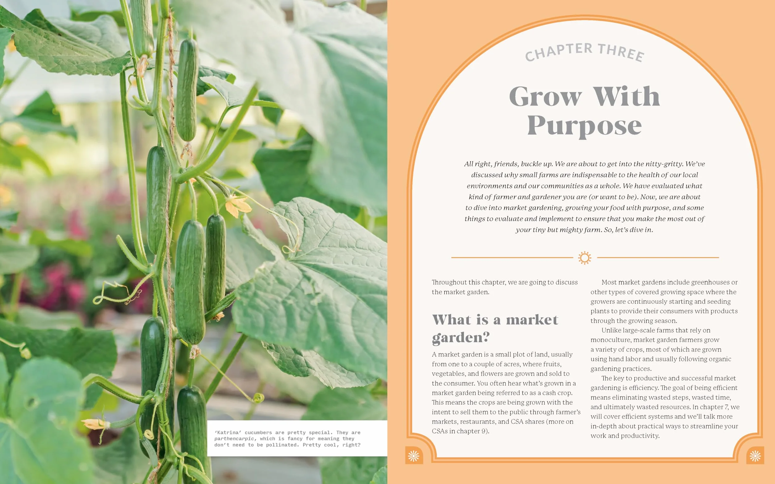 The Tiny But Mighty Farm: Cultivating High Yields, Community, and Self-Sufficiency from a Home Farm - Start Growing Food Today - Meet the Best ... Yourself, Your Family, and Your Neighbors